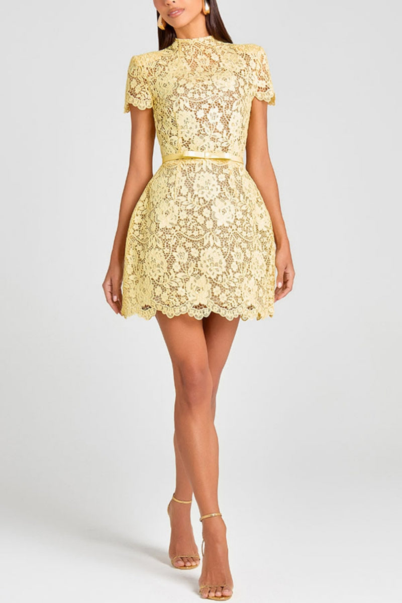 Embroidered Lace Belted Sheer Mini Dress