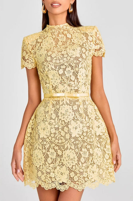 Embroidered Lace Belted Sheer Mini Dress