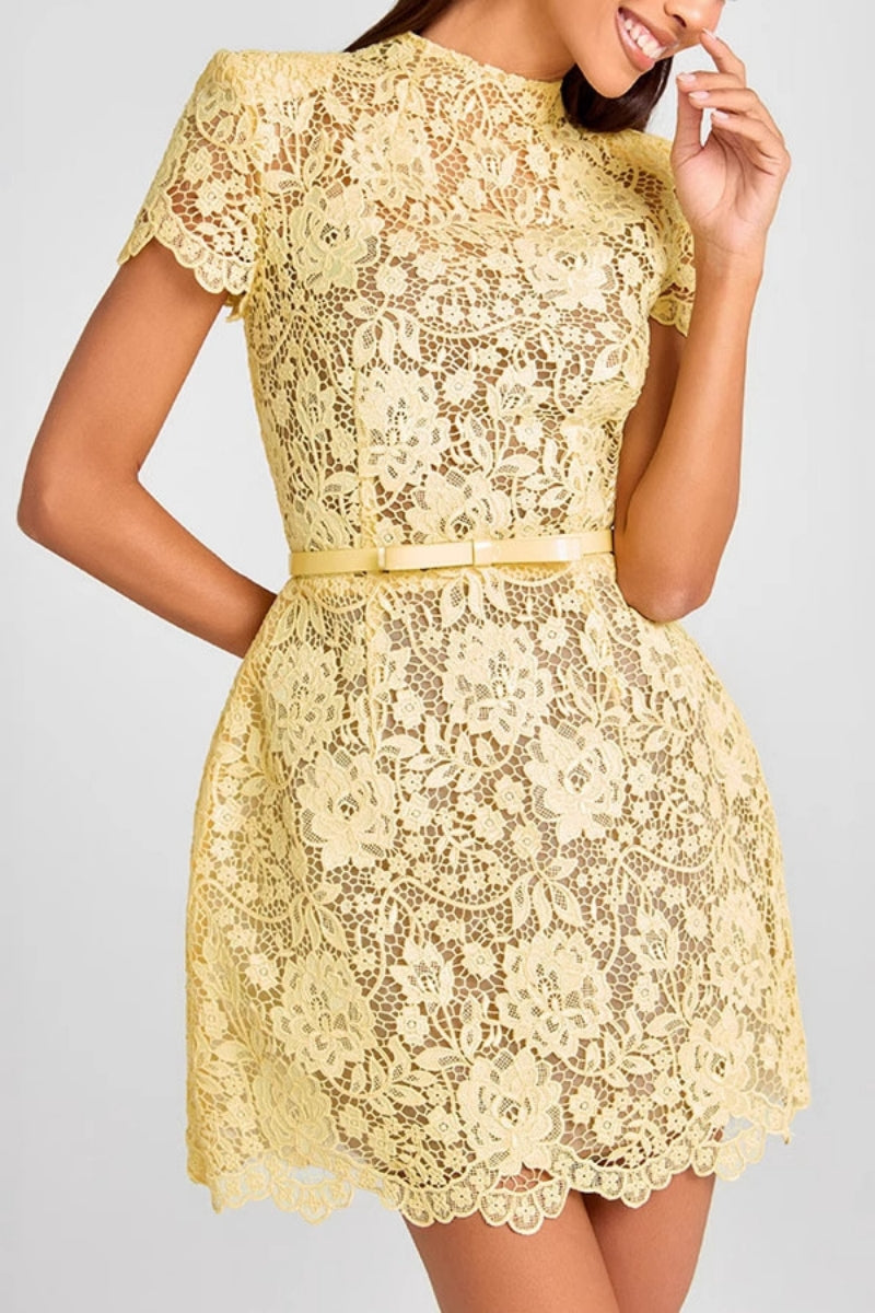 Embroidered Lace Belted Sheer Mini Dress