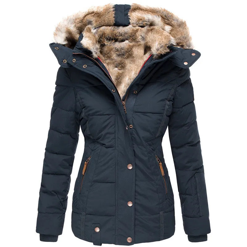 Maveo The Auroa Coat