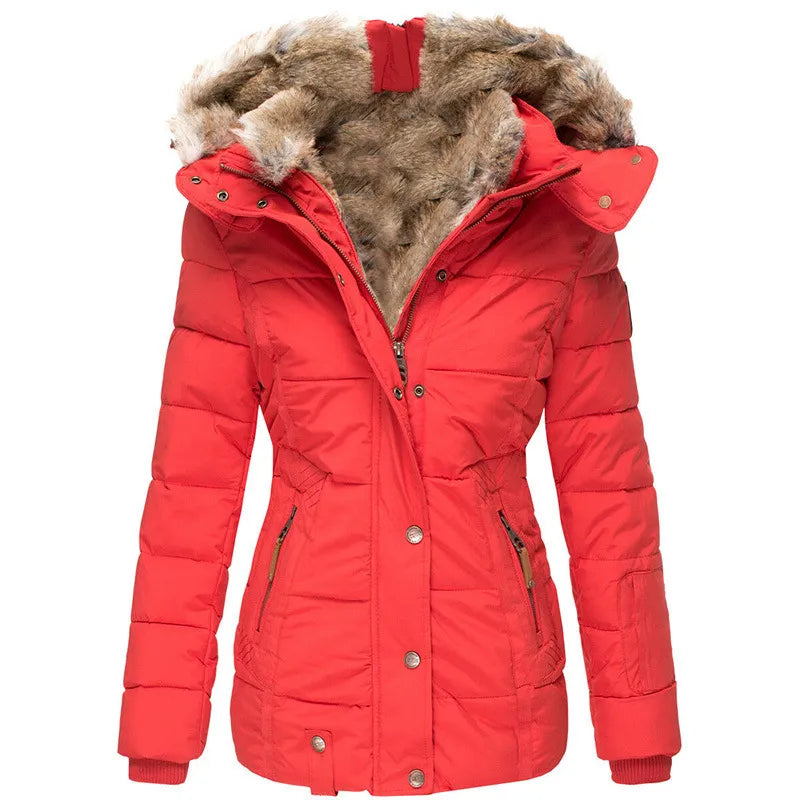 Maveo The Auroa Coat