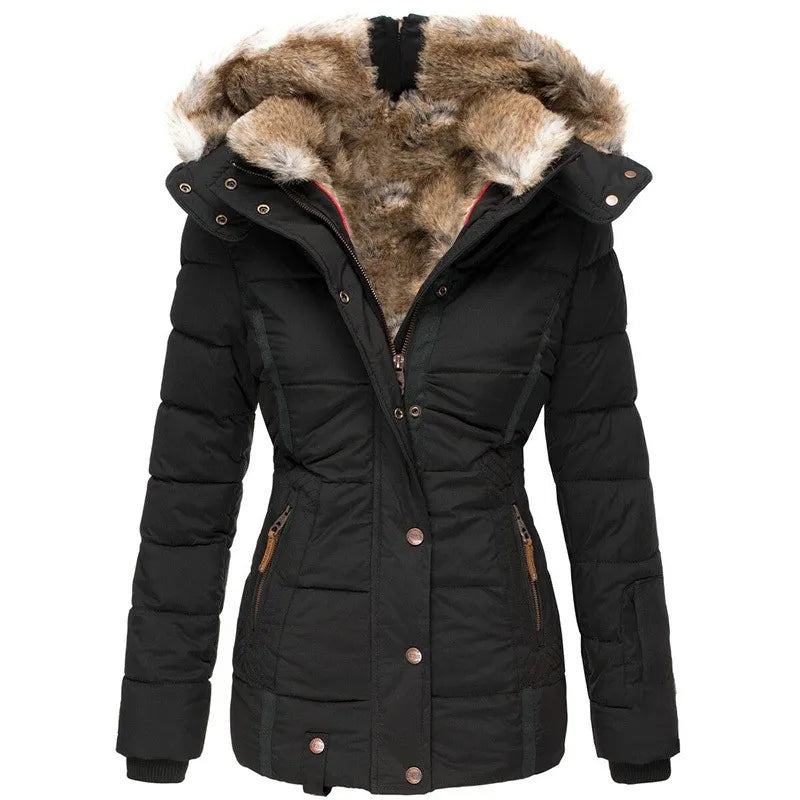 Maveo The Auroa Coat